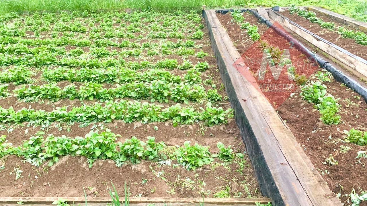 Продаётся 2 дома