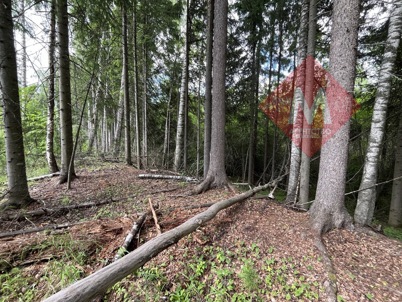 Продается земельный участок