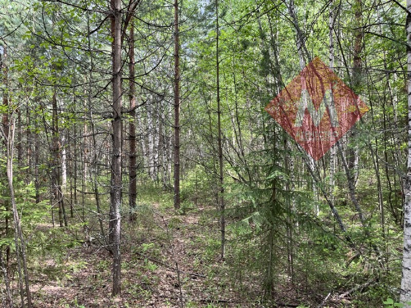 Продается земельный участок