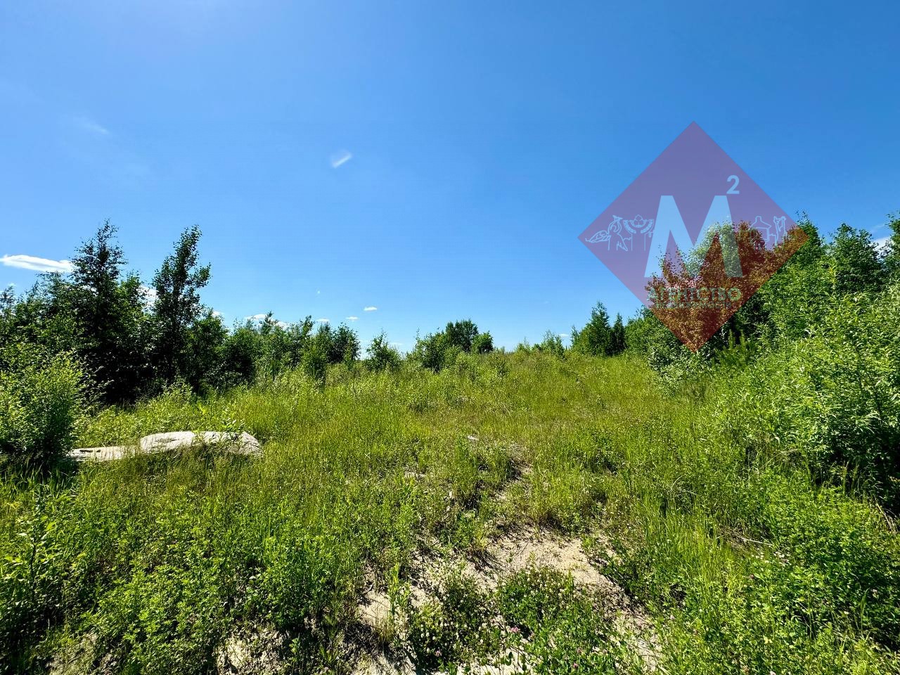 Объект 105145238