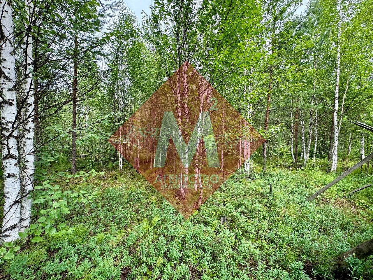 Объект 105145269