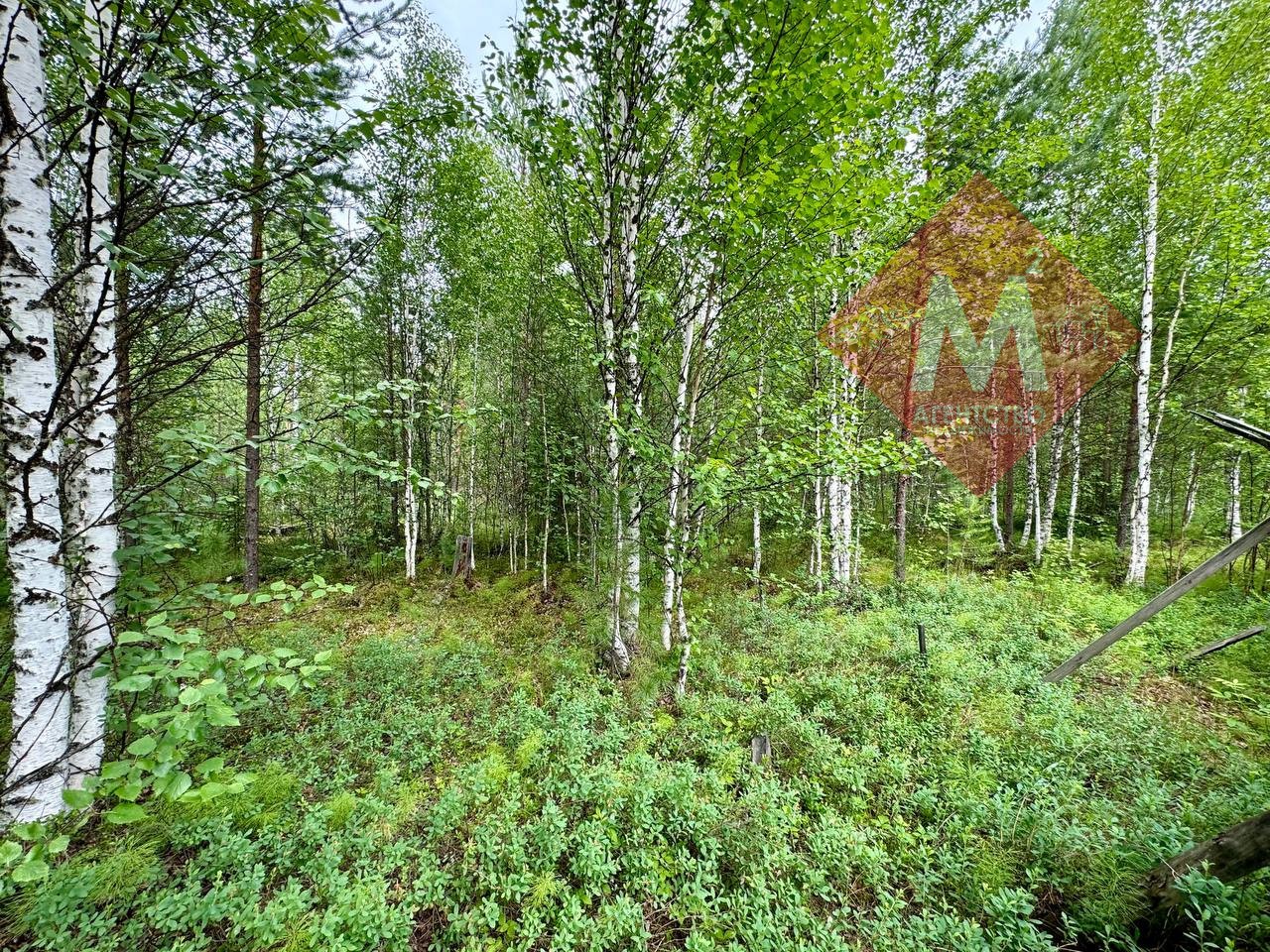 Объект 105145269