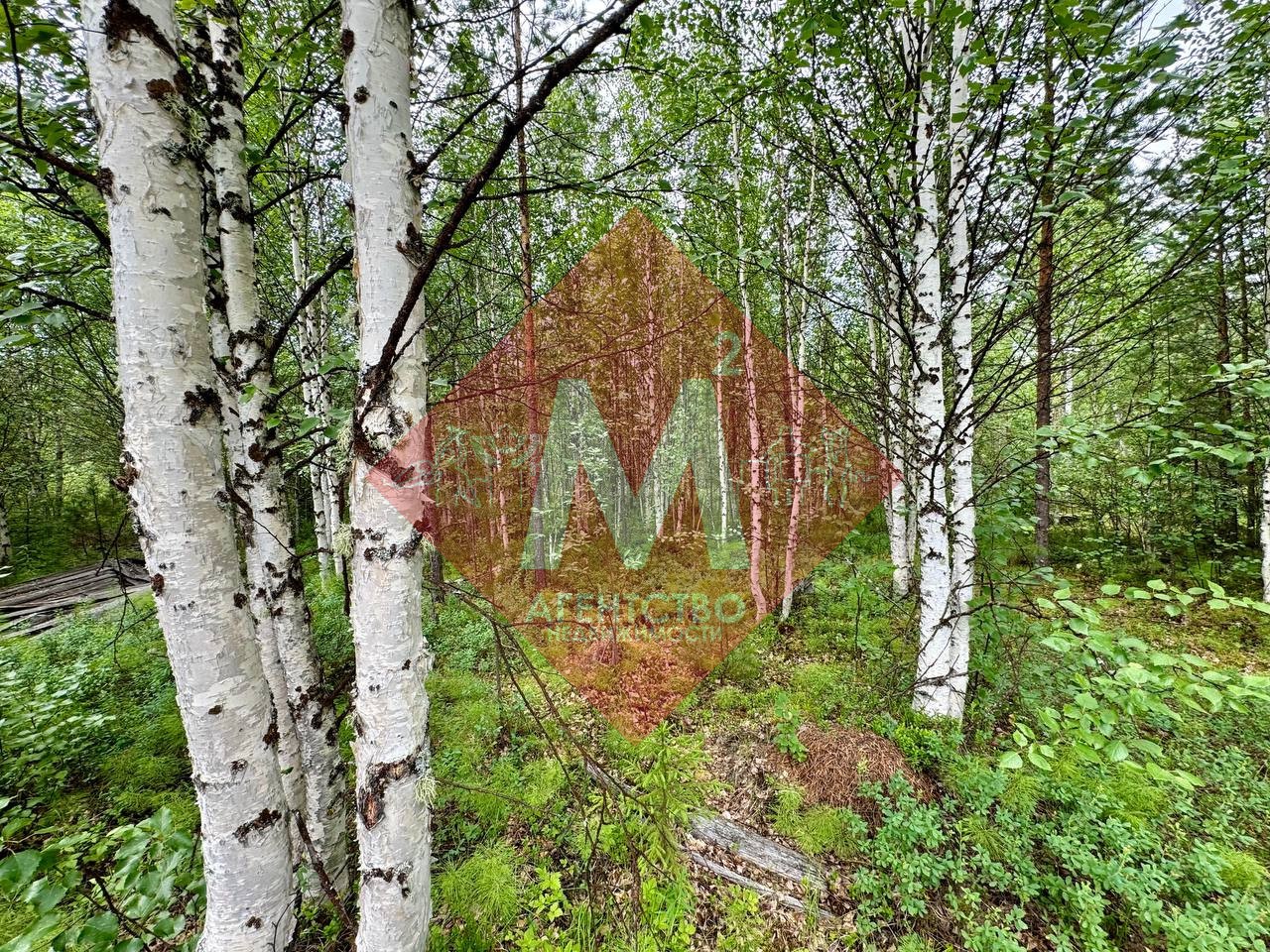 Объект 105145269