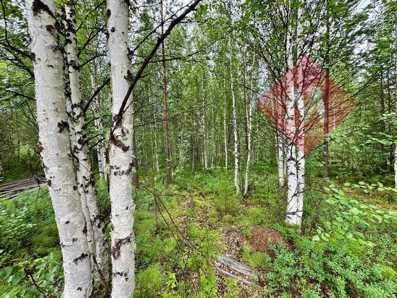 Объект 105145269