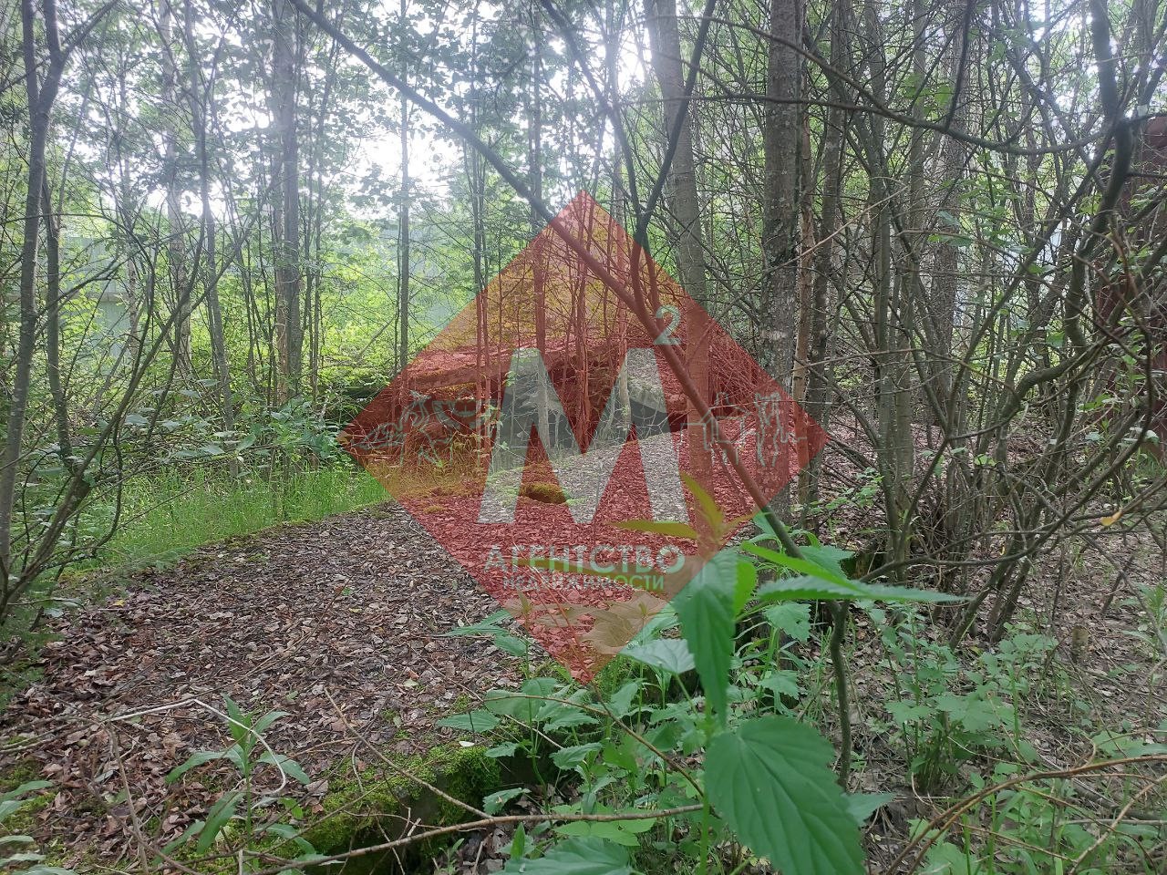 Объект 113581023