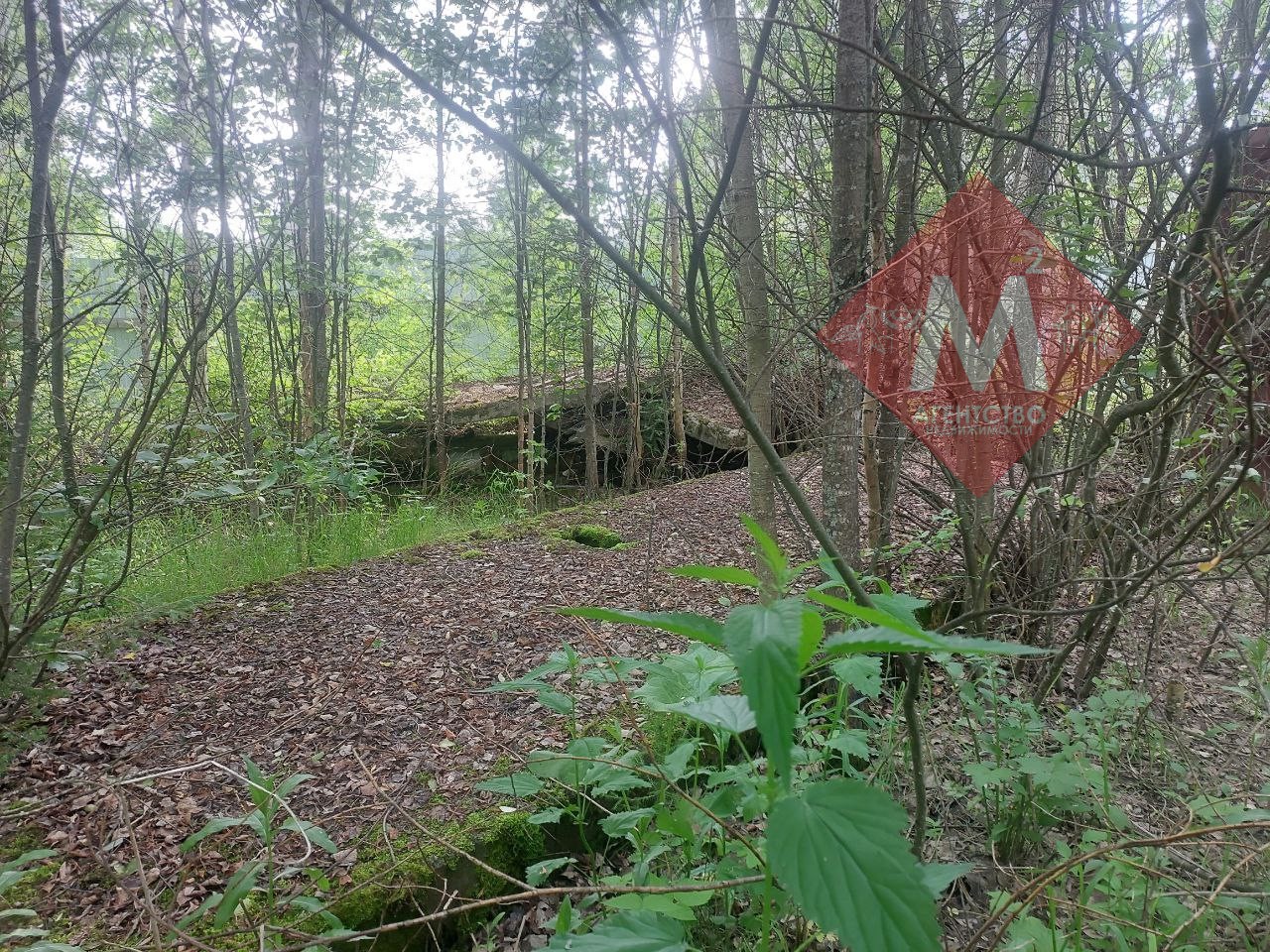 Объект 113581023