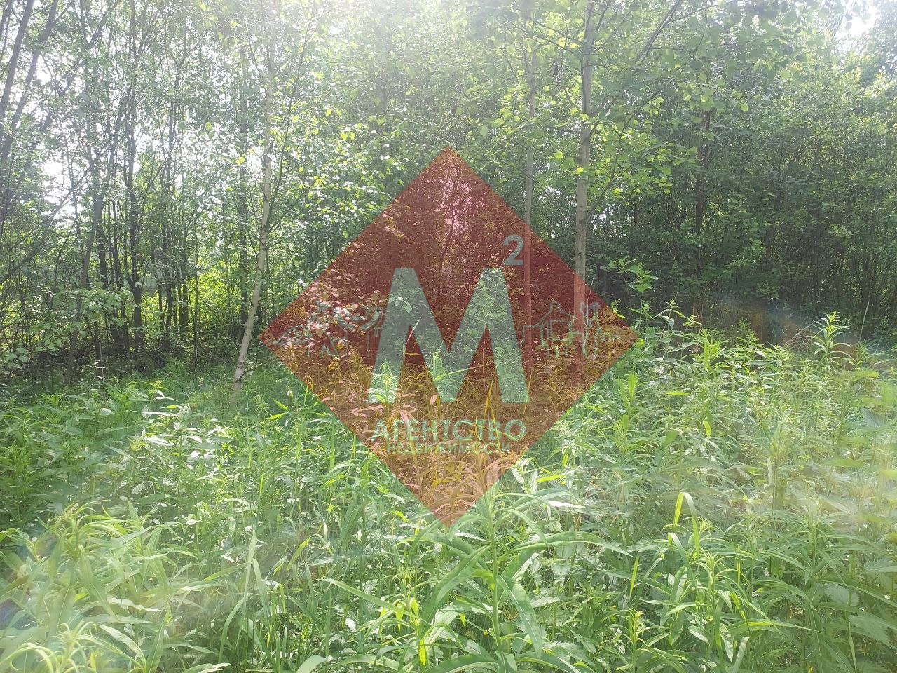 Объект 113581023