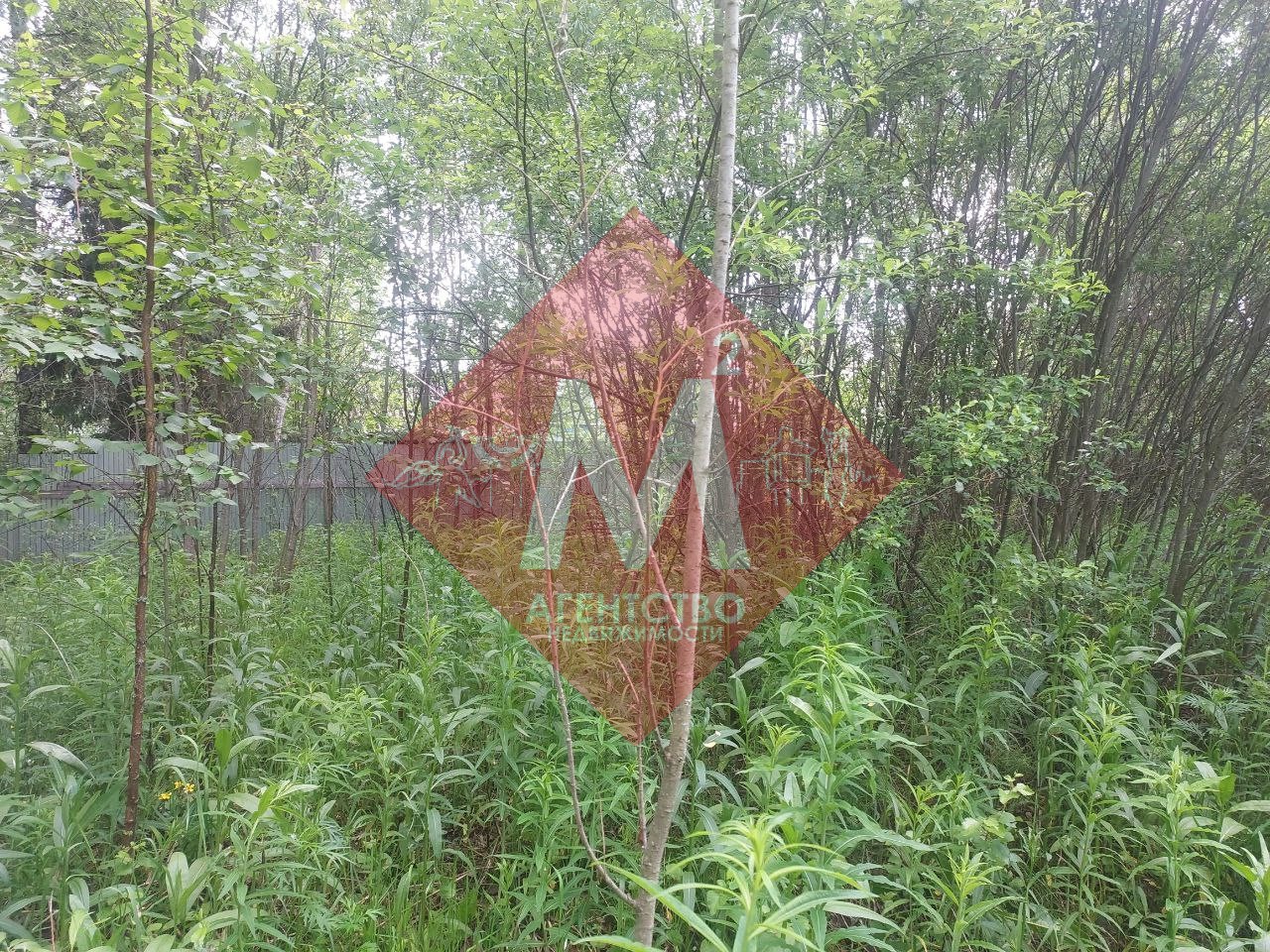 Объект 113581023