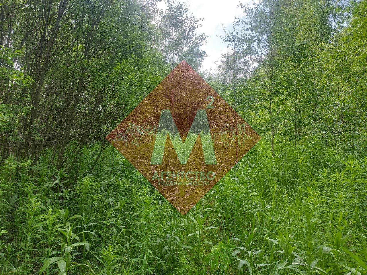 Объект 113581023