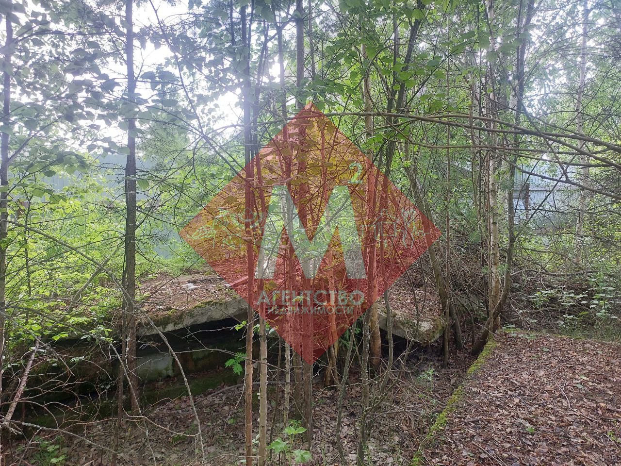 Объект 113581023