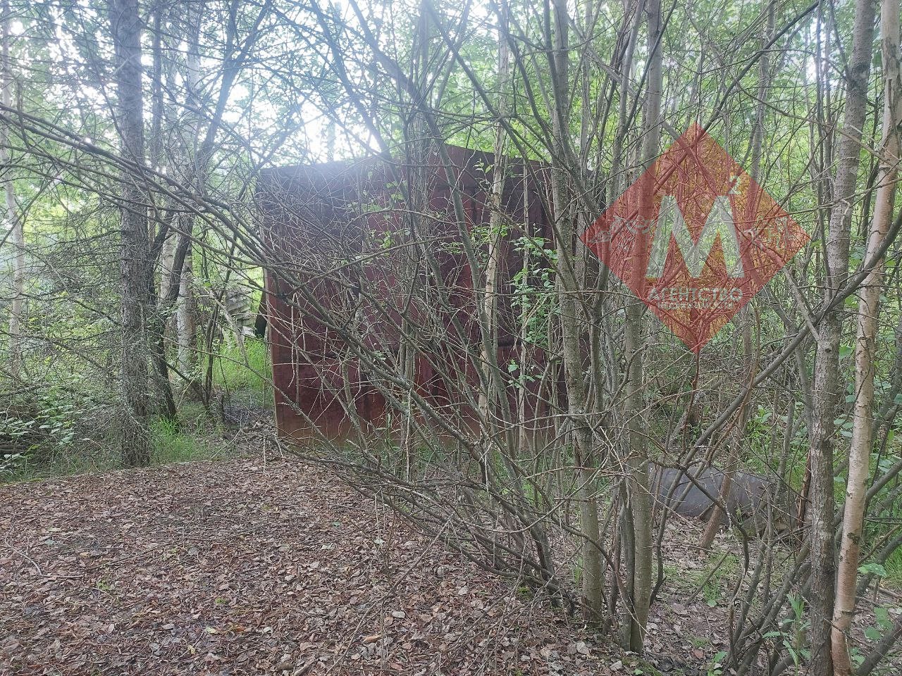 Объект 113581023