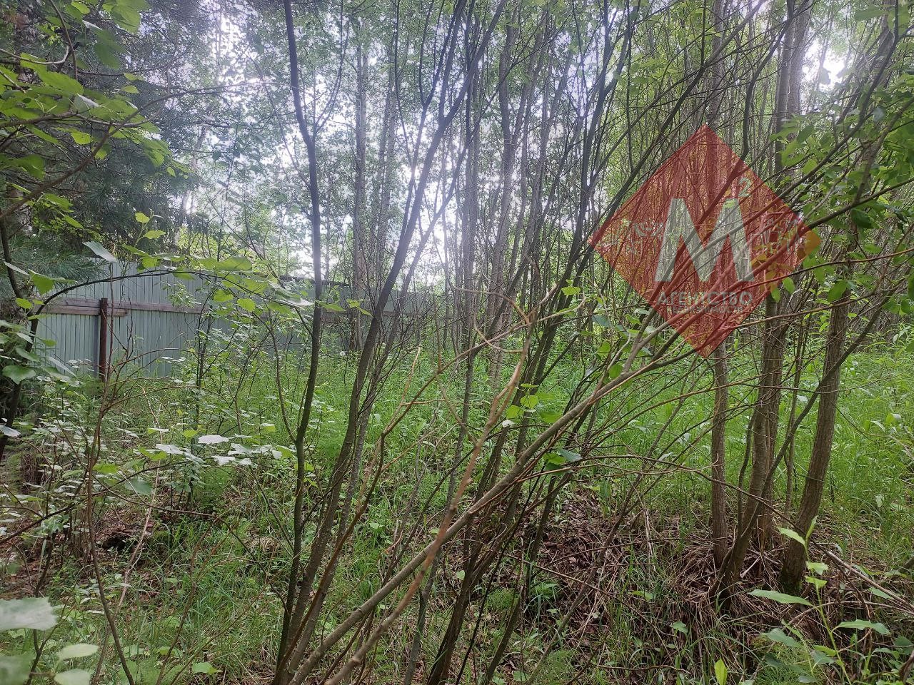 Объект 113581023