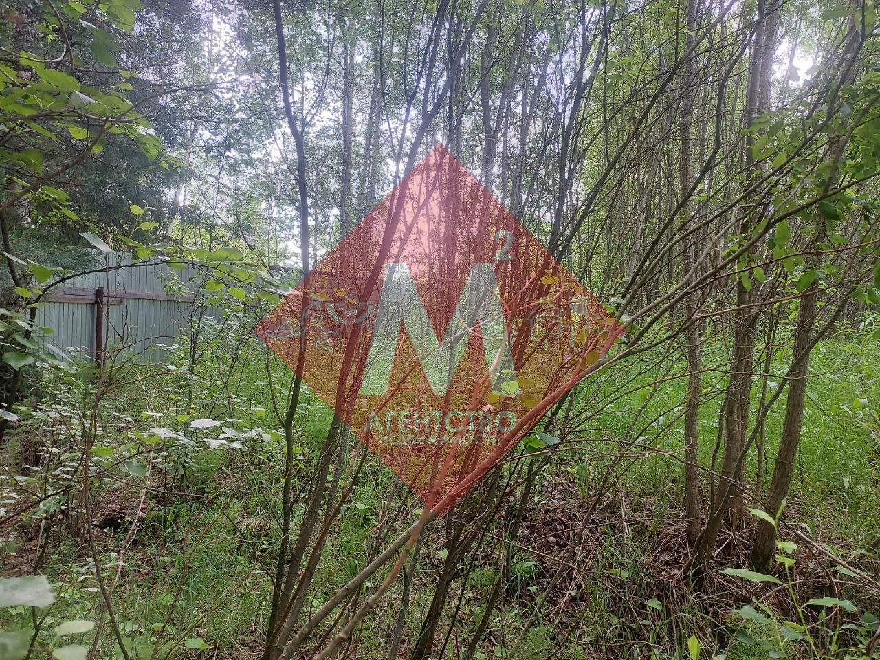 Объект 113581023