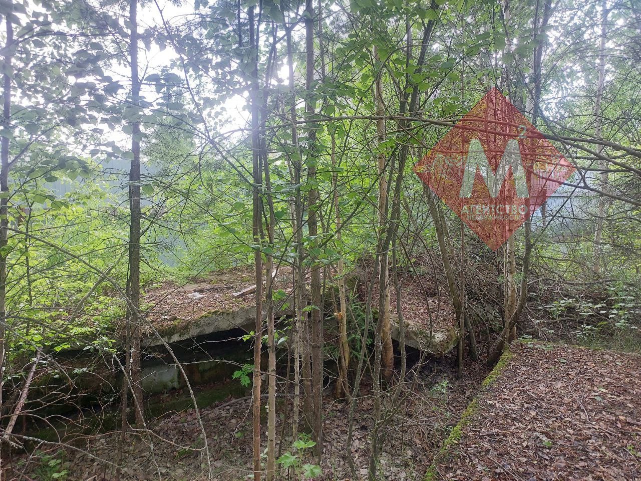 Объект 113581023