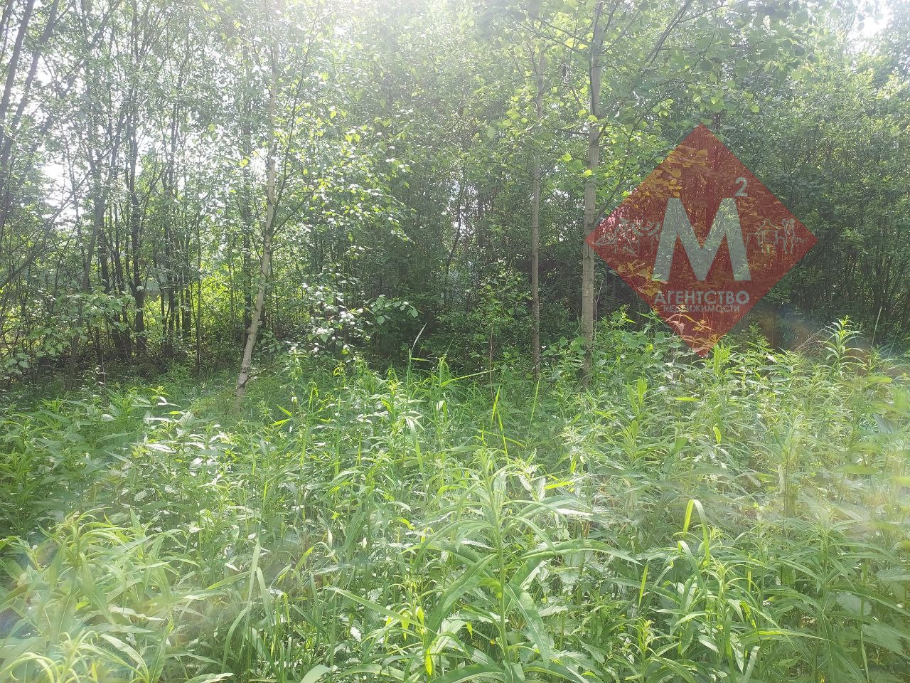 Объект 113581023