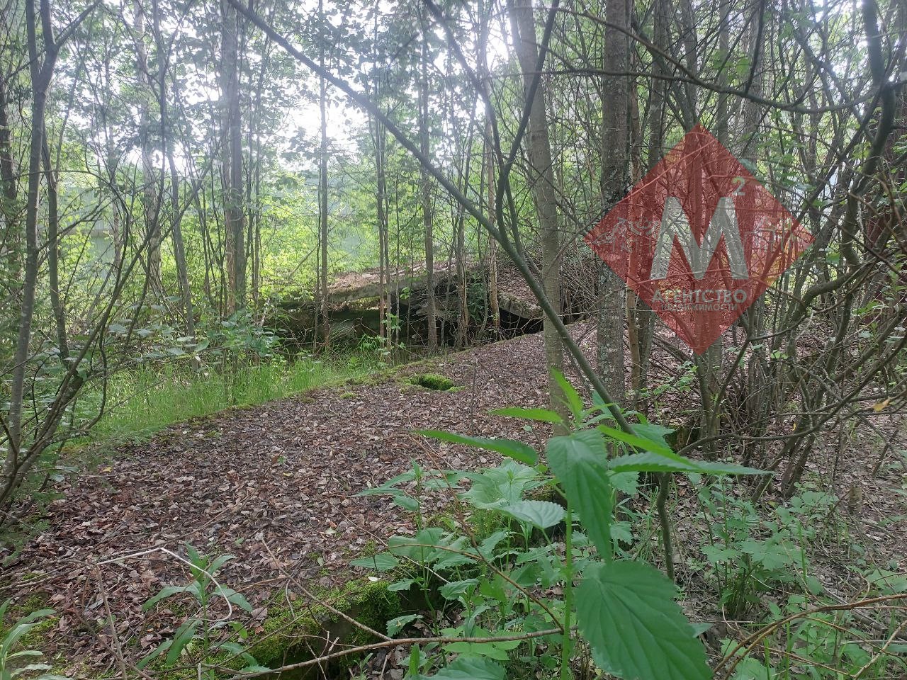 Объект 113581023