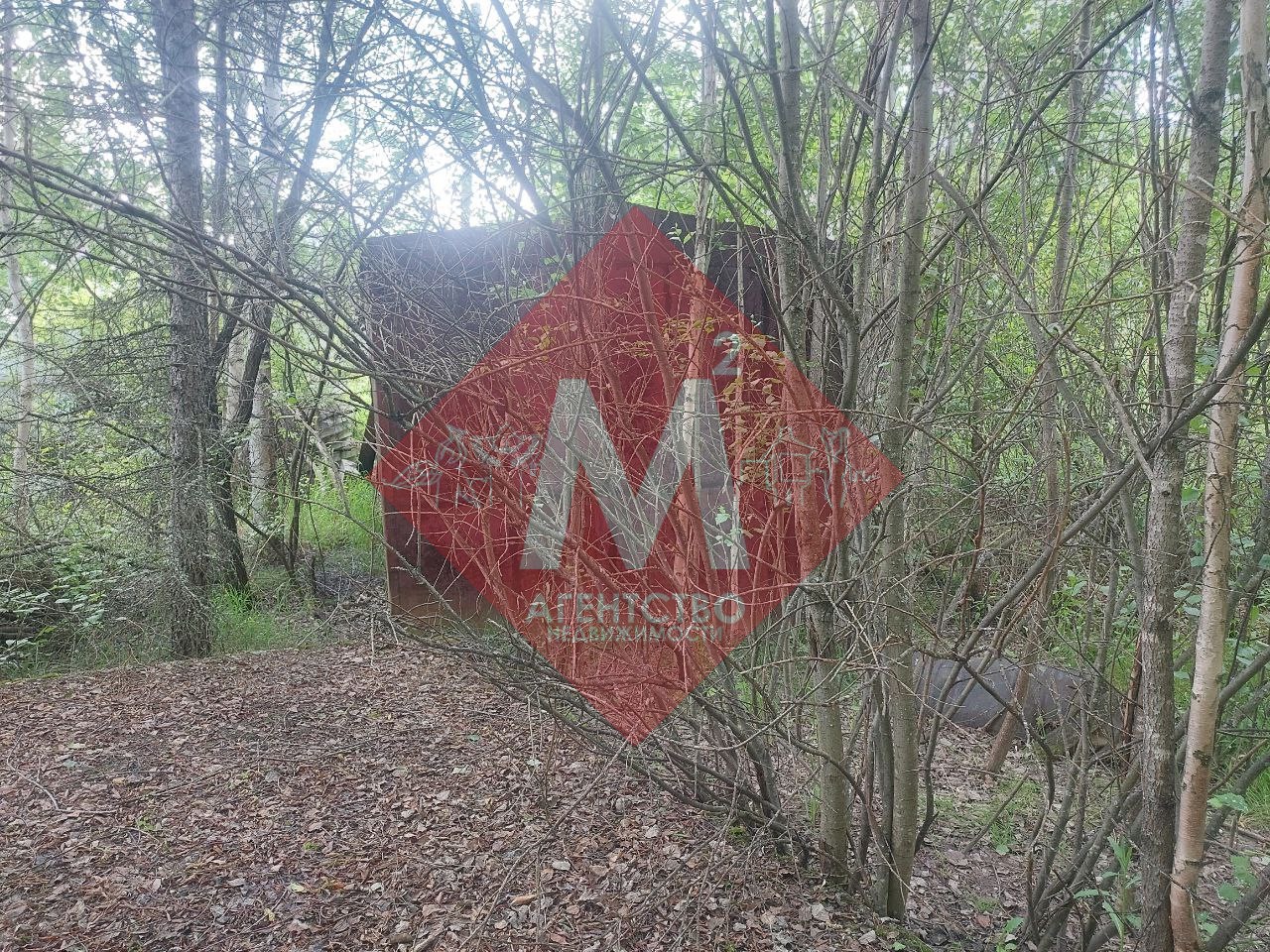 Объект 113581023