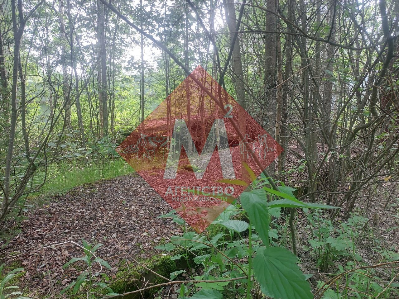 Объект 113581023