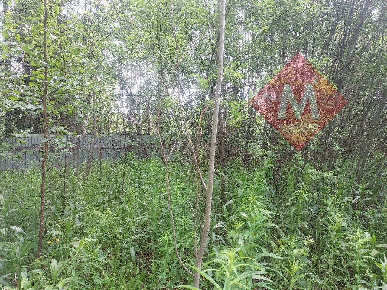 Объект 113581023