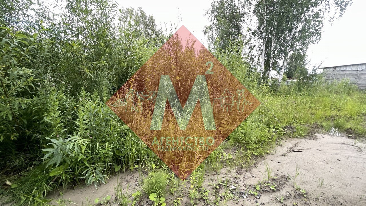 Объект 113581244