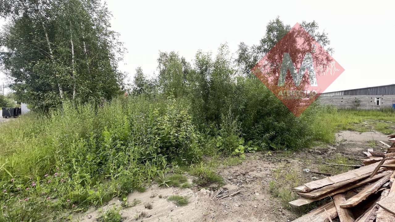 Объект 113581244