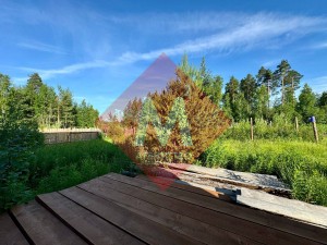 Объект 113591004