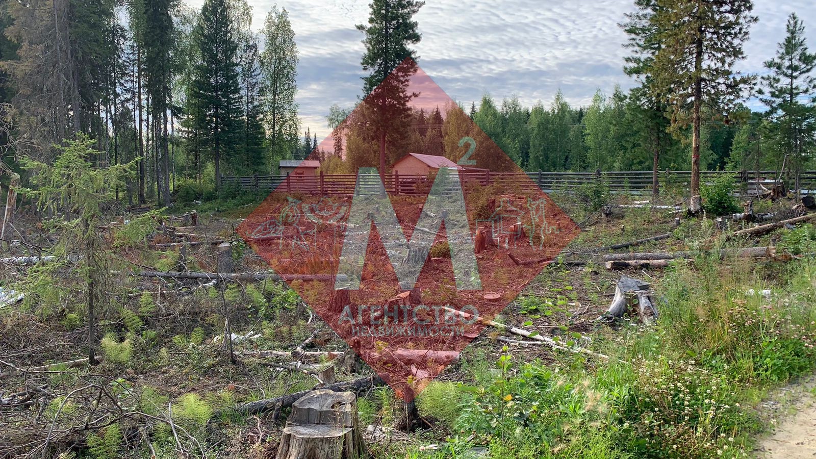 Объект 113844106