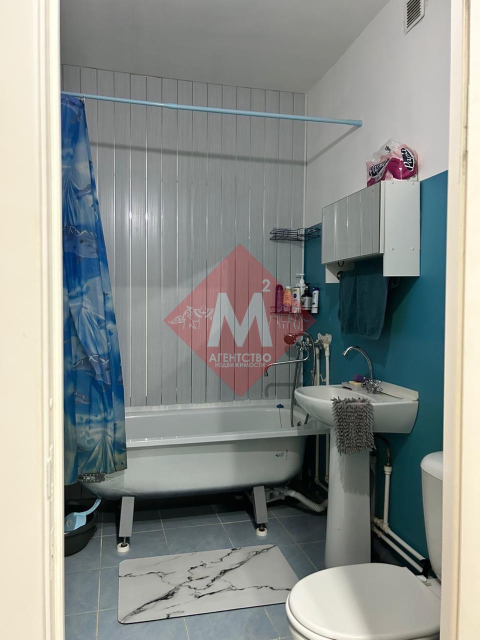 Объект 116304348