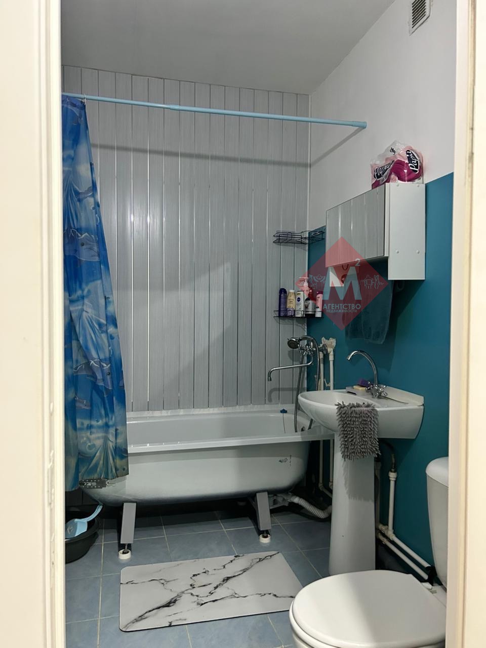 Объект 116304348