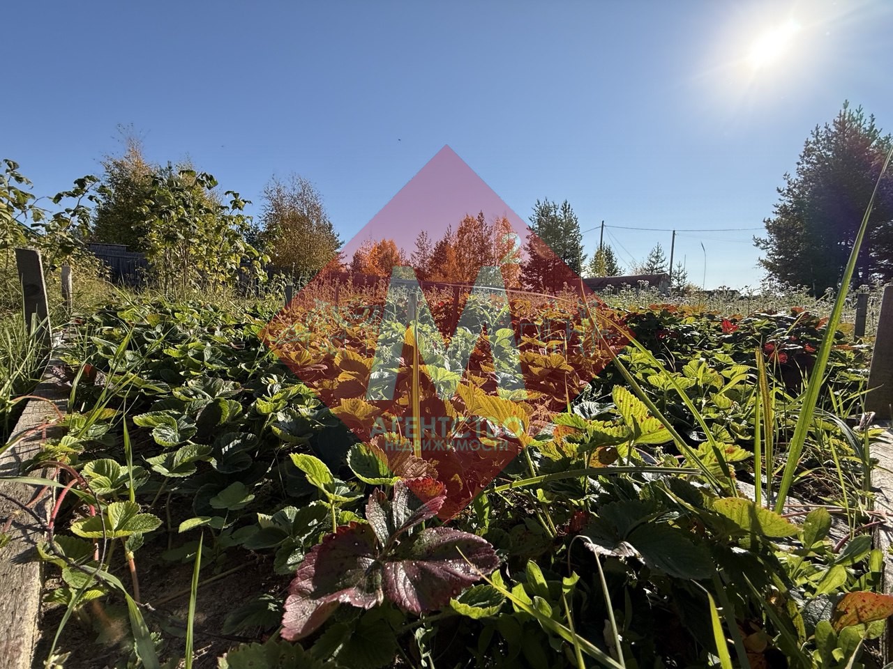 Объект 117322846