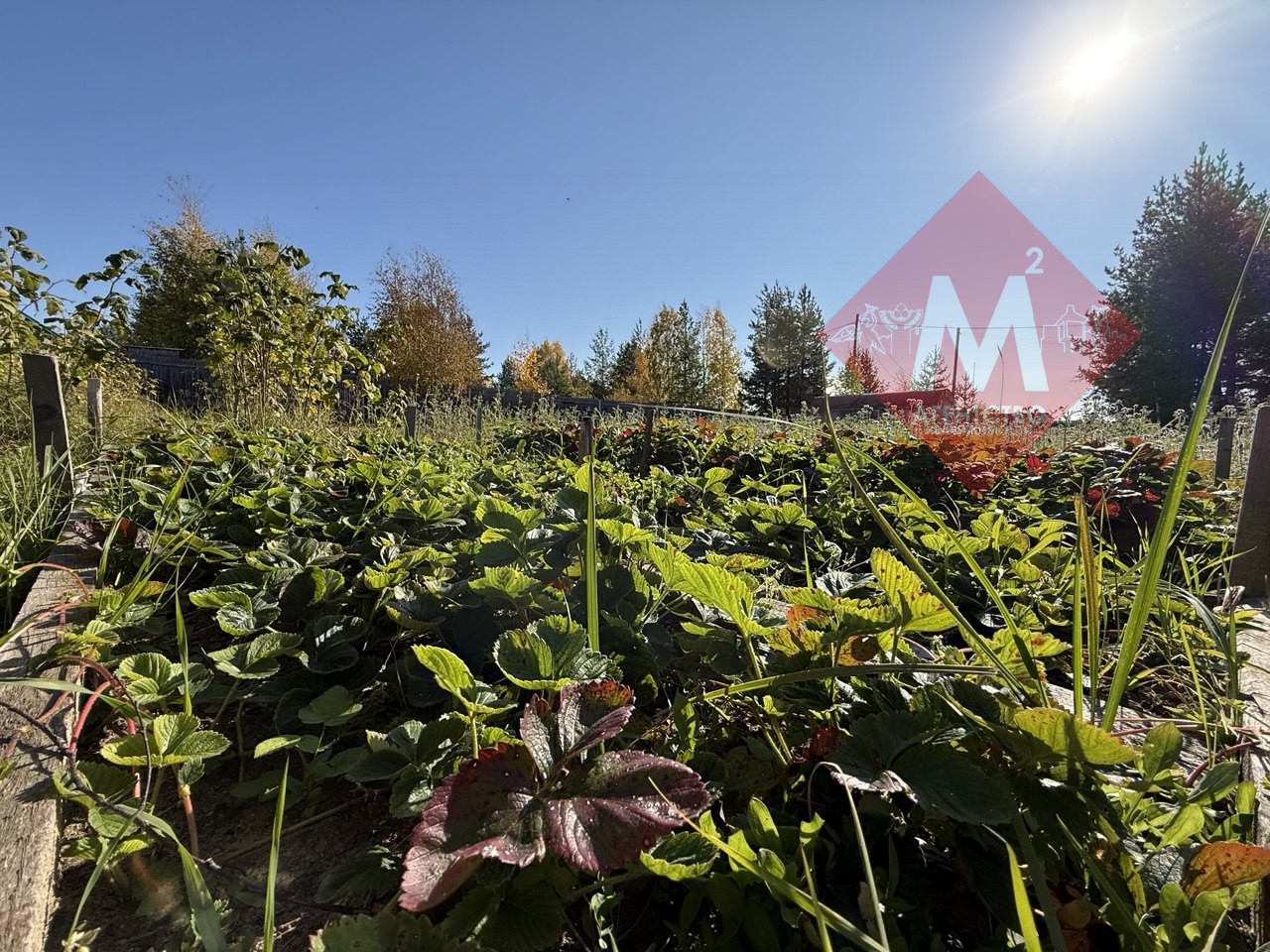 Объект 117322846