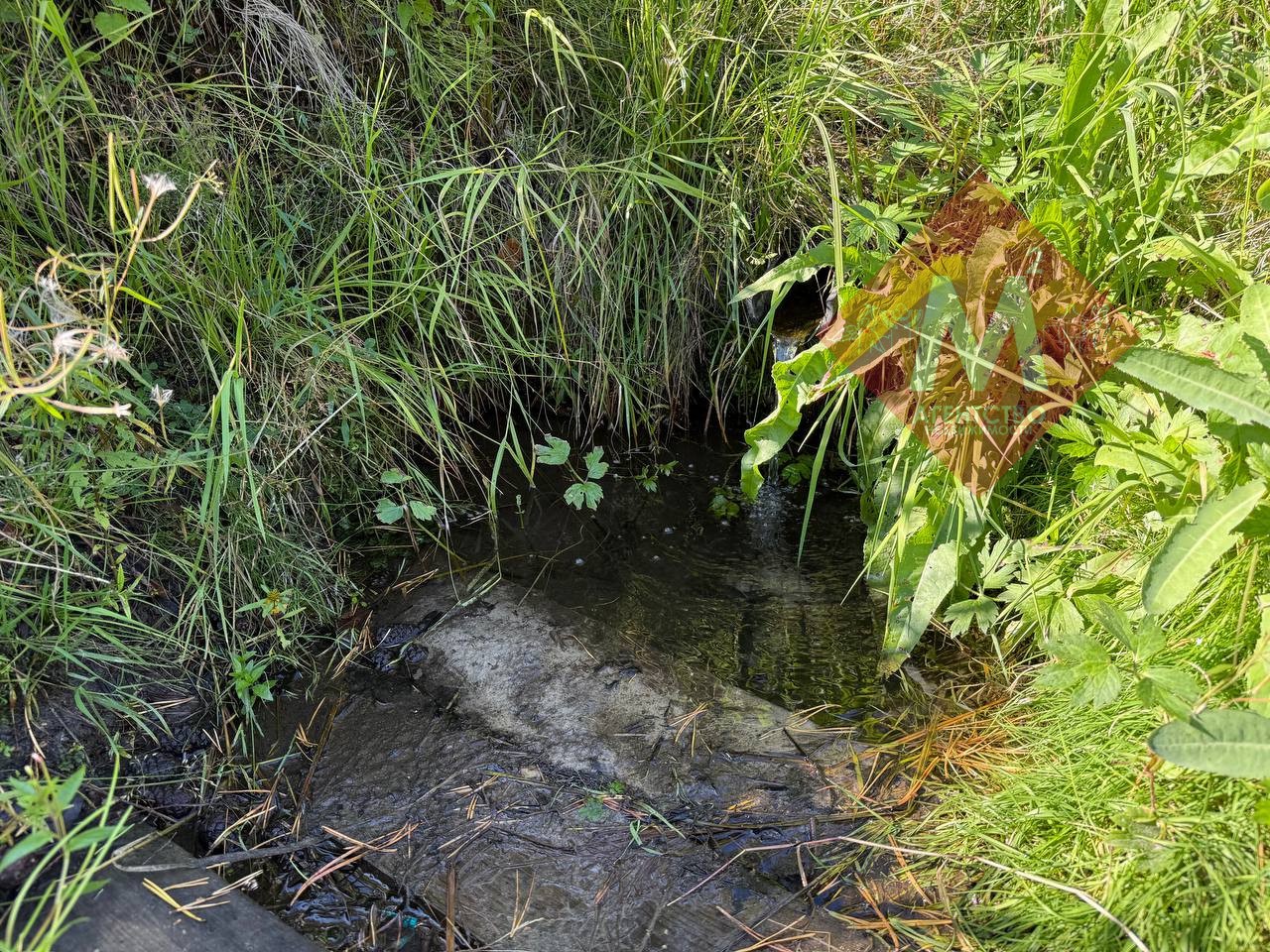 Объект 117328451