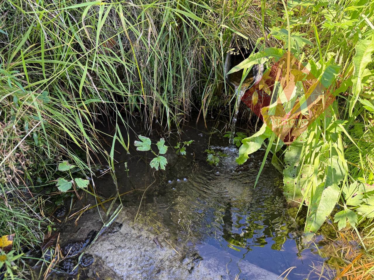 Объект 117328451