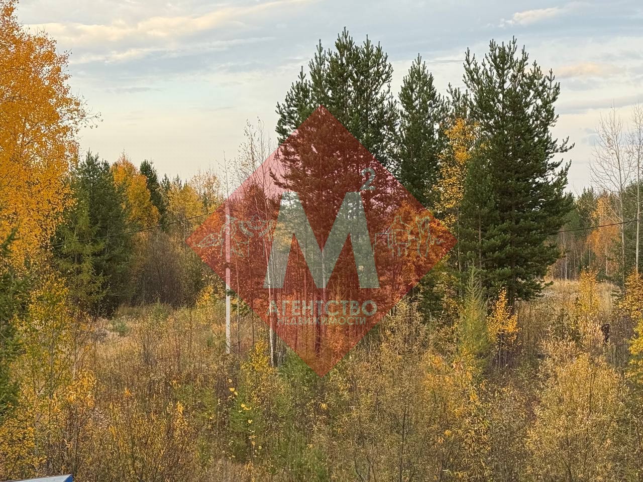 Объект 117603559