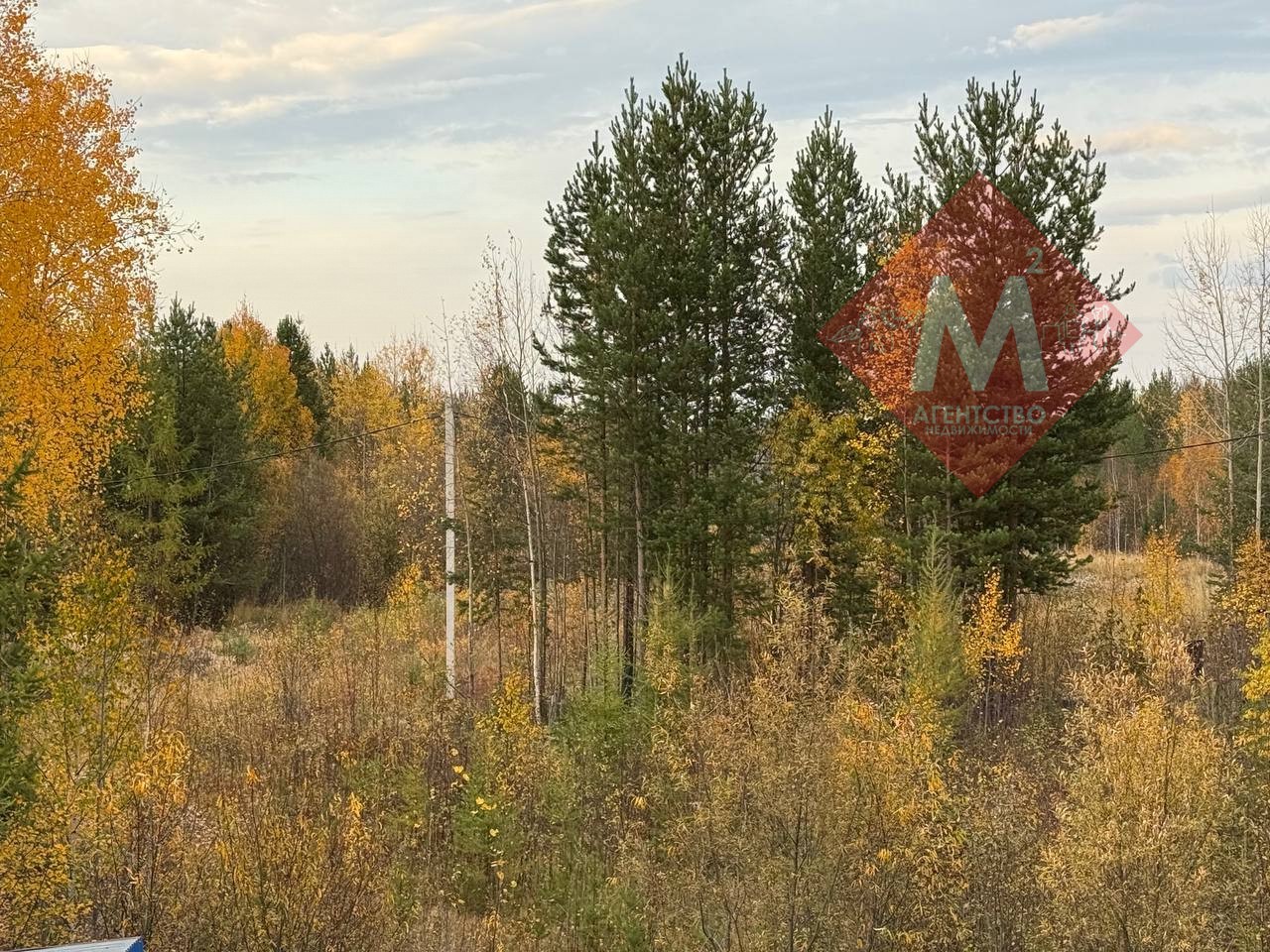 Объект 117603559