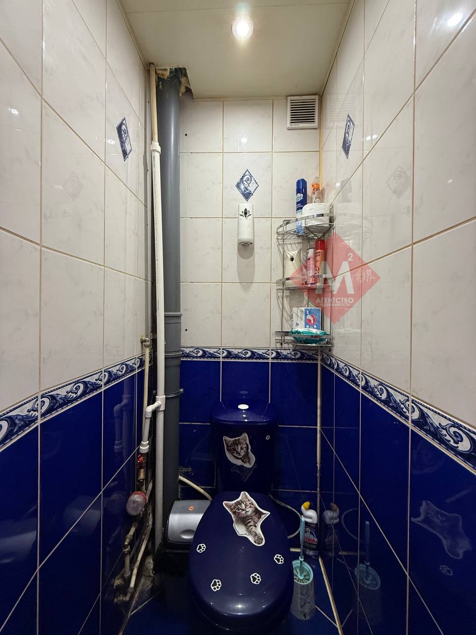 Объект 119154853