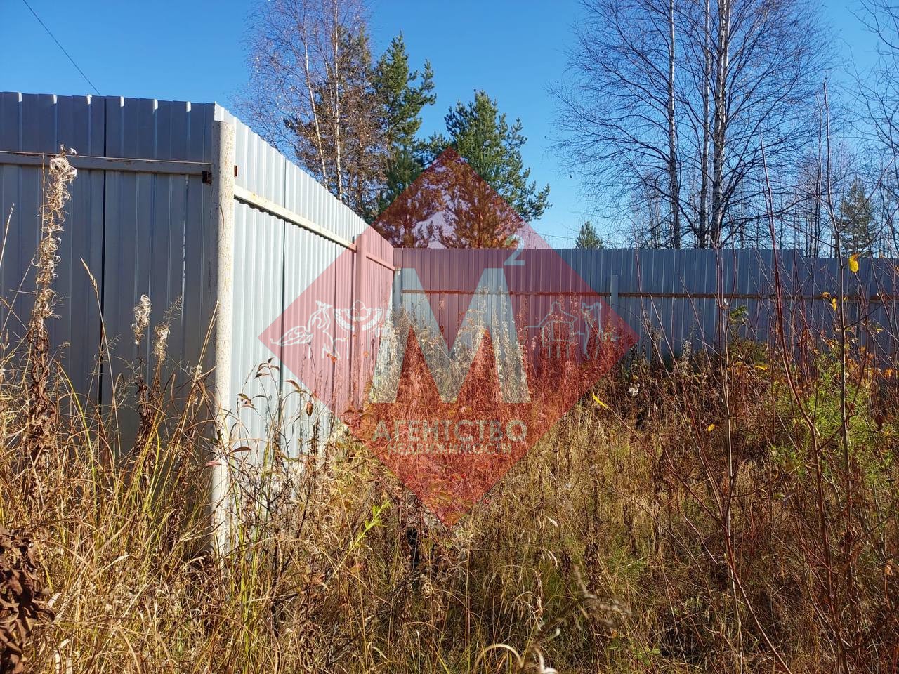 Объект 119817149