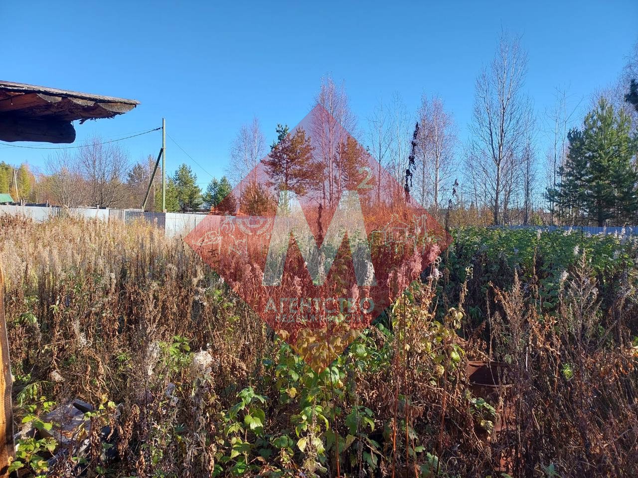 Объект 119817149