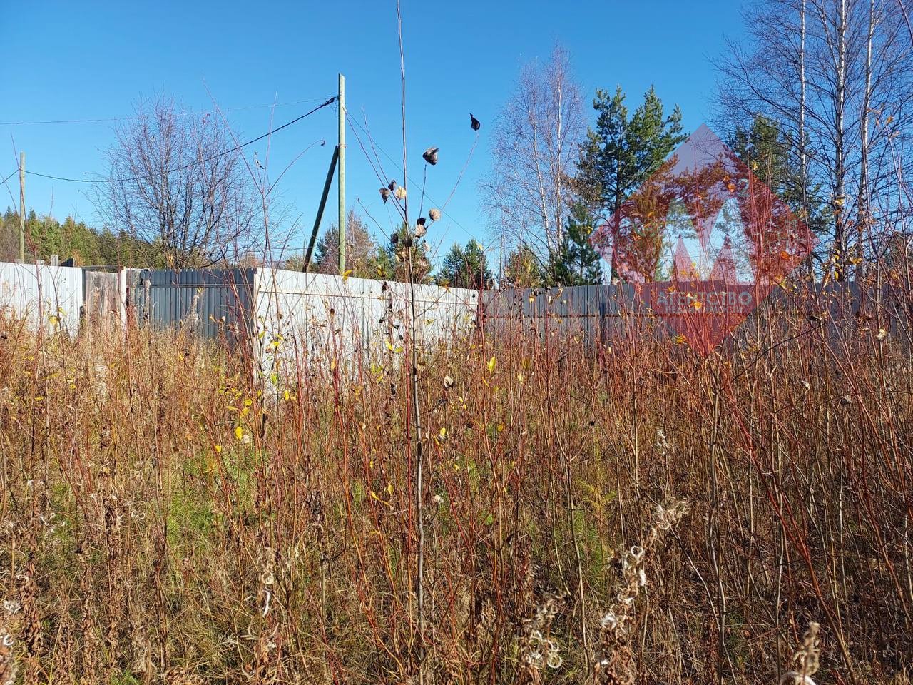 Объект 119817149