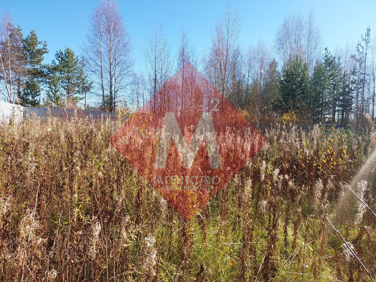 Объект 119817149