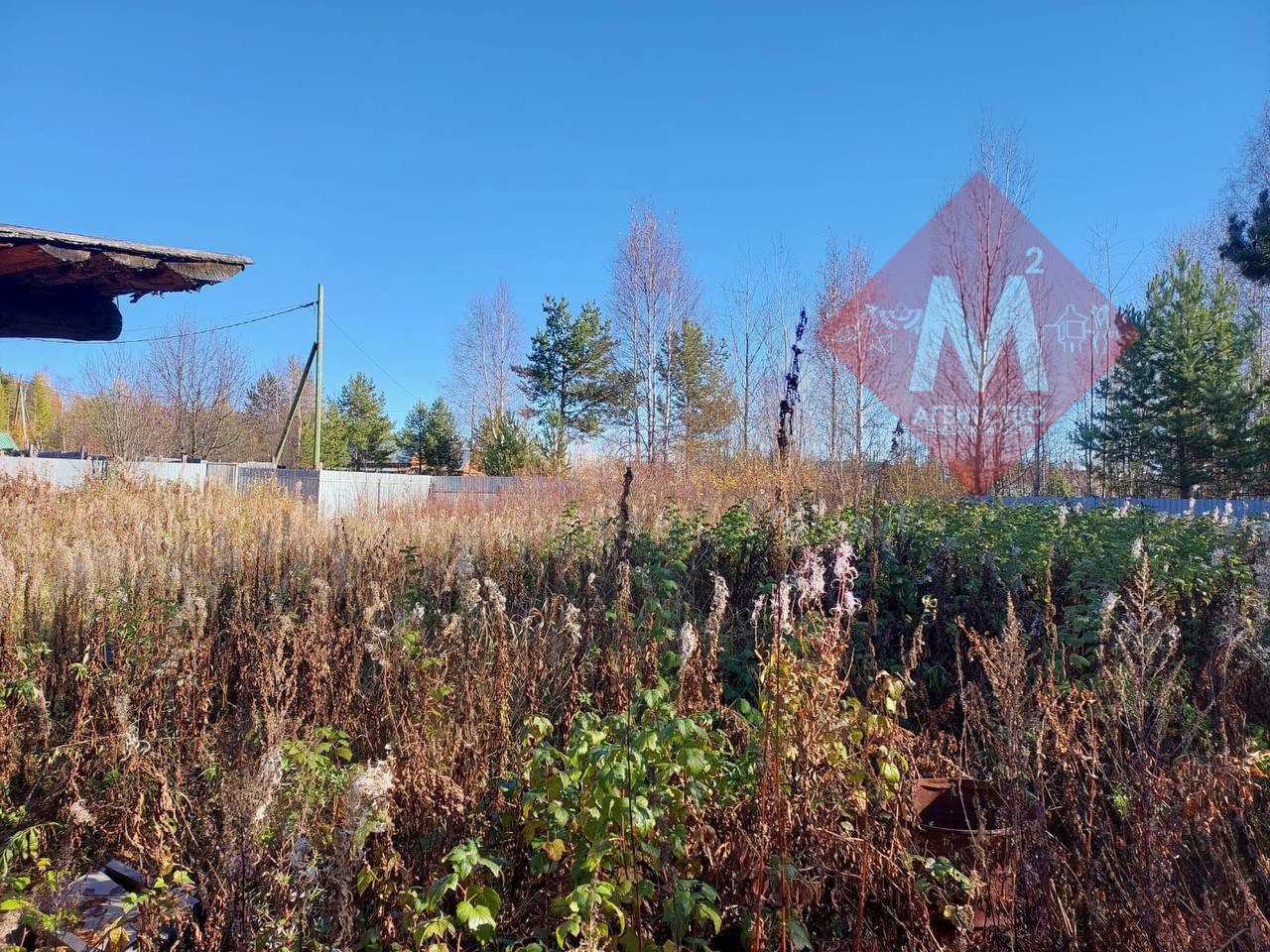 Объект 119817149