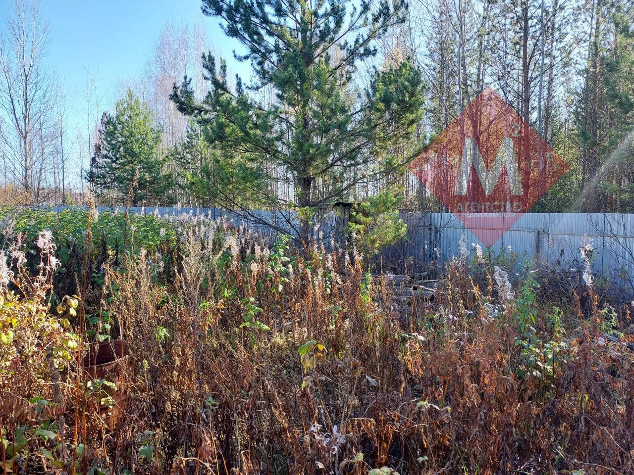 Объект 119817149