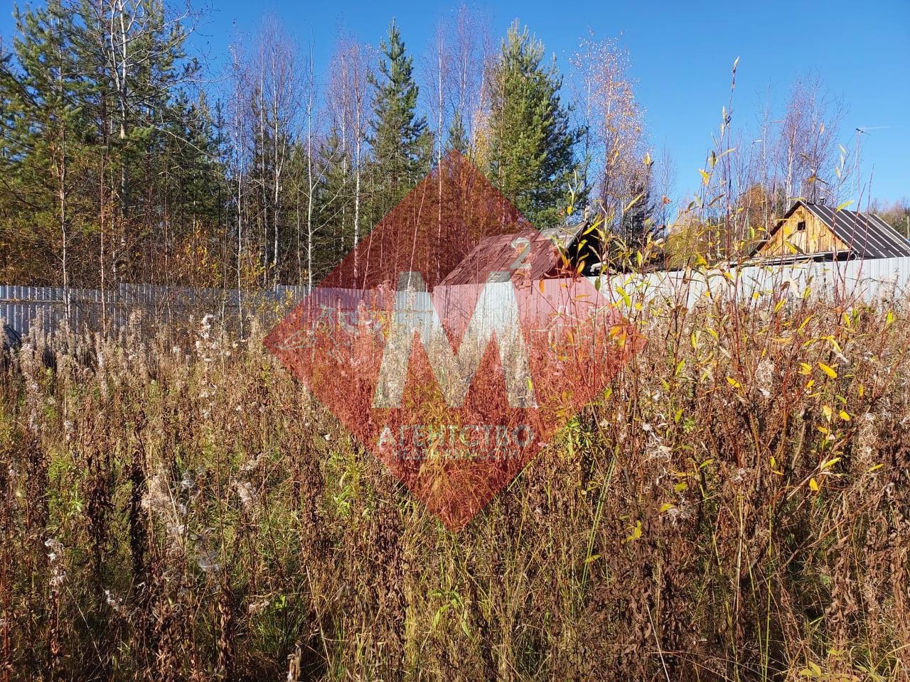 Объект 119817149