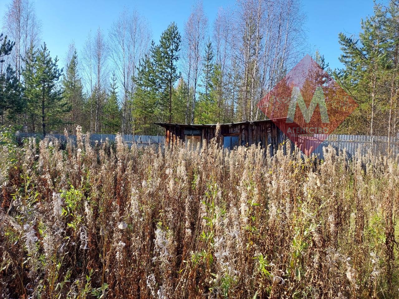 Объект 119817149