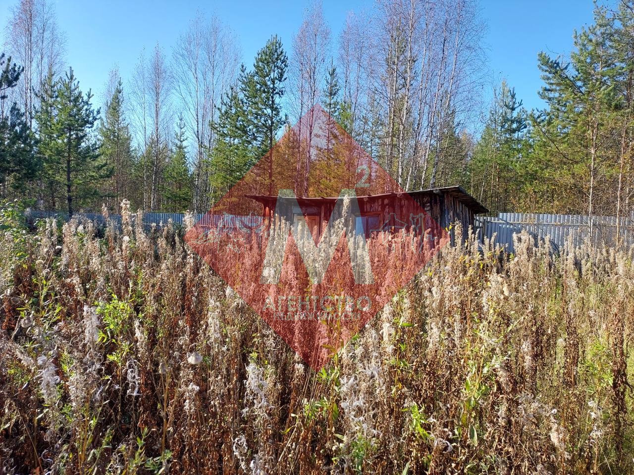 Объект 119817149