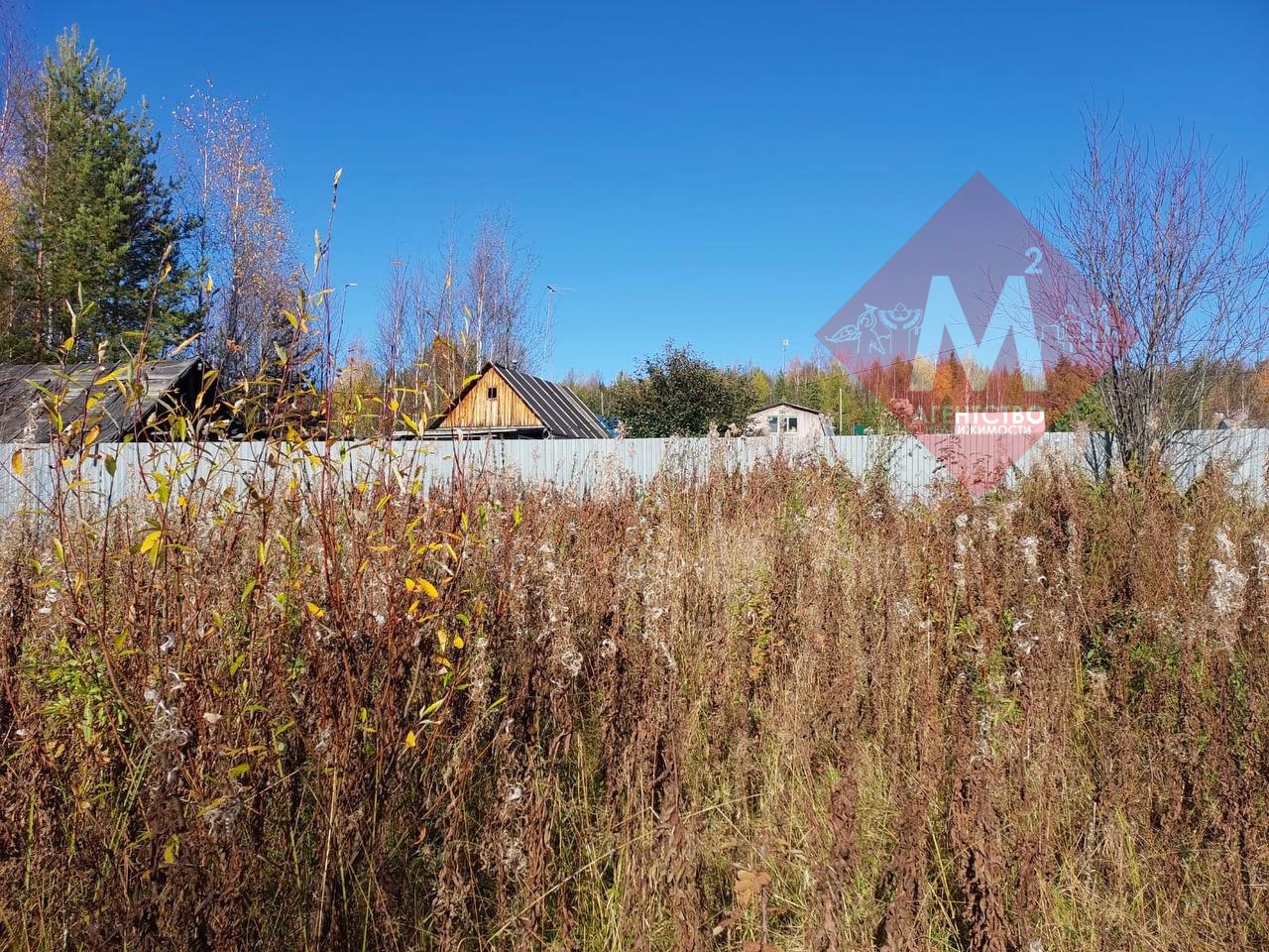 Объект 119817149