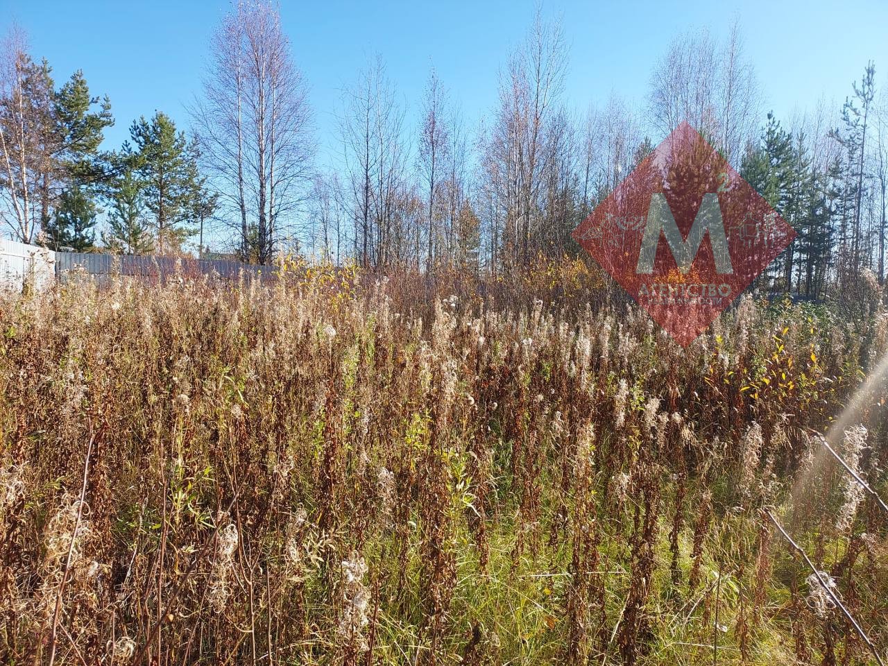 Объект 119817149