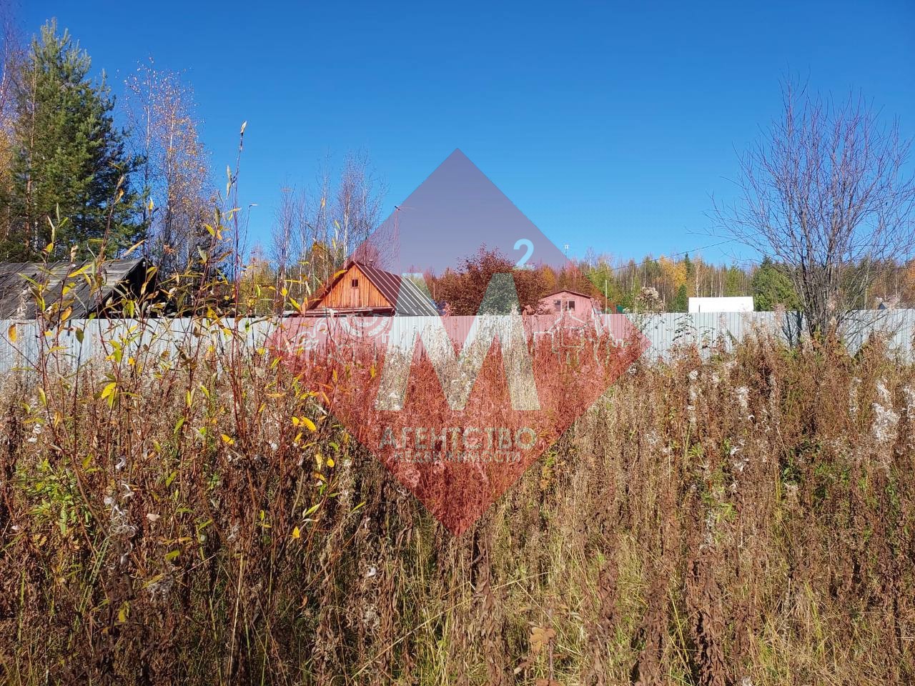 Объект 119817149