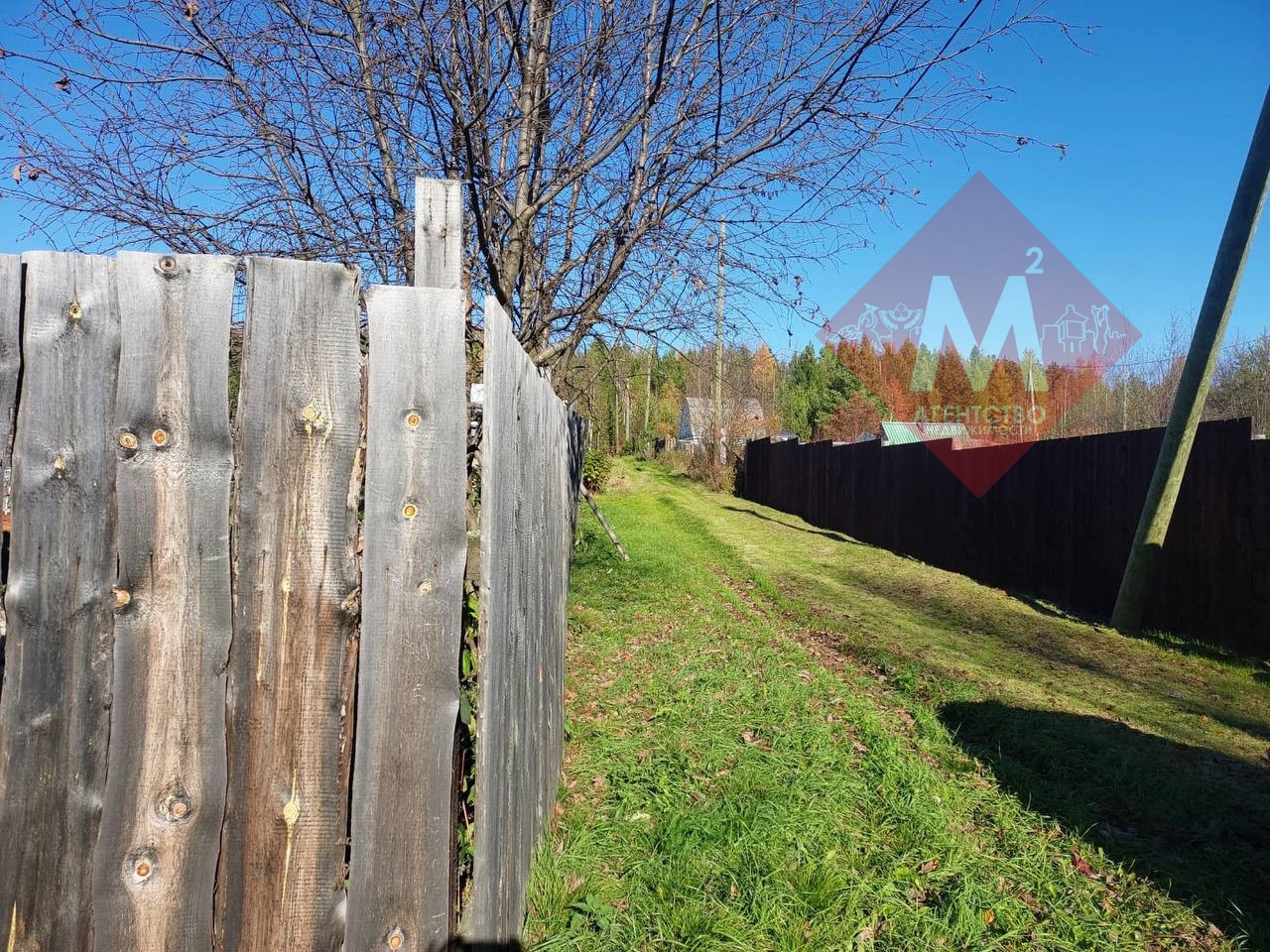 Объект 119817149