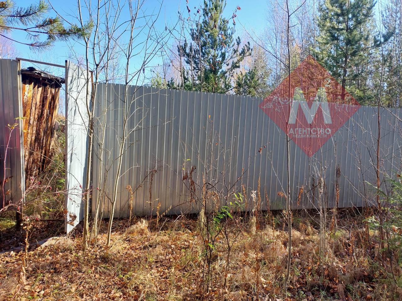 Объект 119817149